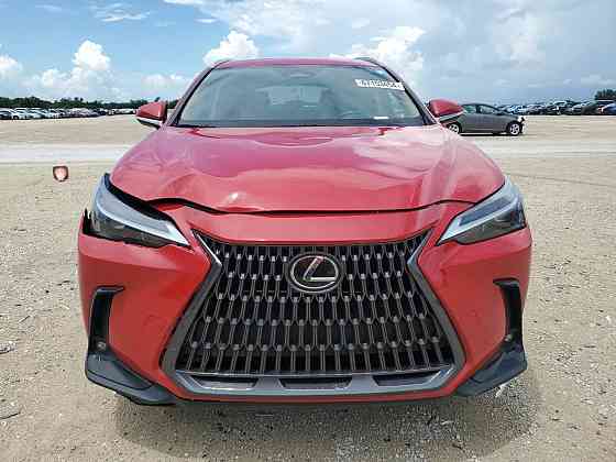 2024 LEXUS NX 250 оригинальный пробег, чистая история Тирасполь