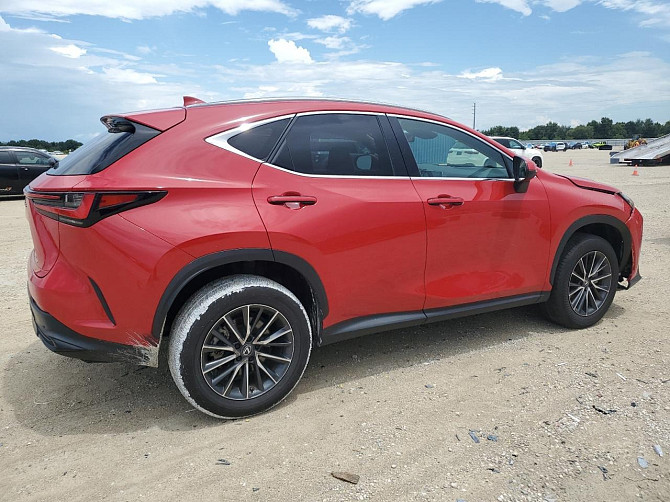 2024 LEXUS NX 250 оригинальный пробег, чистая история Тирасполь - изображение 6
