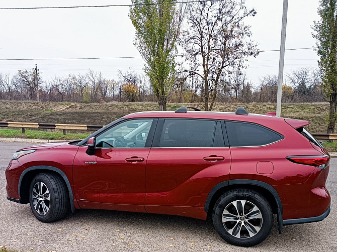 Шикарный хайлендер пишите на обмен 77751188 Тирасполь - изображение 5