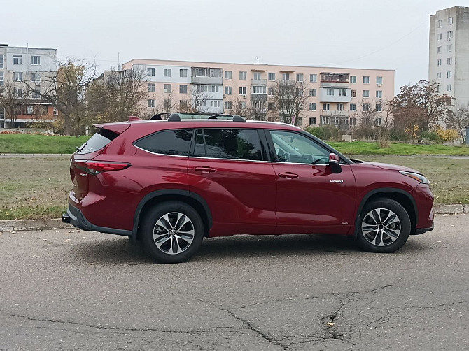 Шикарный хайлендер пишите на обмен 77751188 Тирасполь - изображение 7