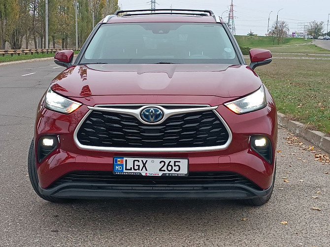 Шикарный хайлендер пишите на обмен 77751188 Тирасполь - изображение 6