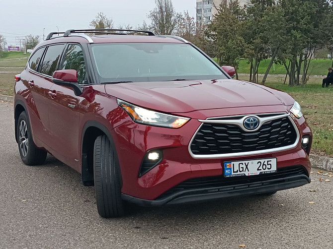 Шикарный хайлендер пишите на обмен 77751188 Тирасполь - изображение 1